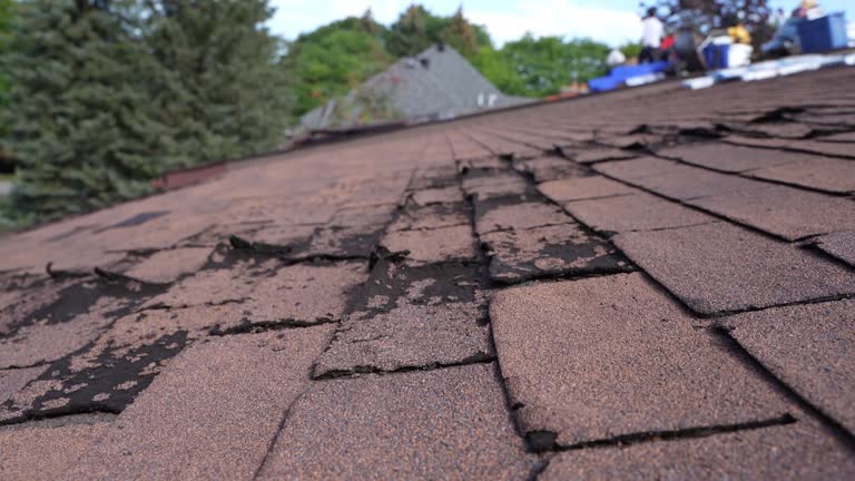 Best Storm Damage Roof Repair  in Towamensing Trails, PA